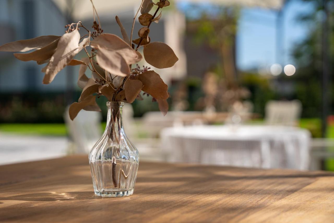 B&B Villa Ebe SantʼArcangelo di Romagna Εξωτερικό φωτογραφία